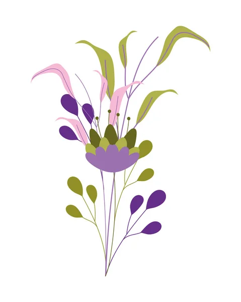 Flor natural aislada con diseño de vectores de hojas — Vector de stock