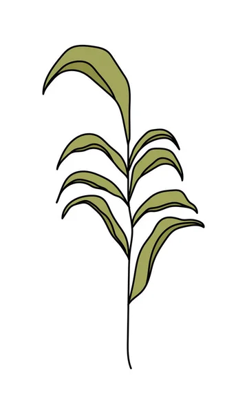 Izolowany projekt wektora liści botanicznych — Wektor stockowy