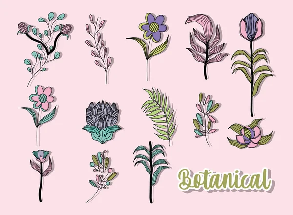 Botanische Blätter setzen Vektor-Design — Stockvektor