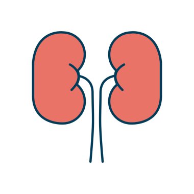 böbrek organ simgesi, satır ve dolgu biçimi