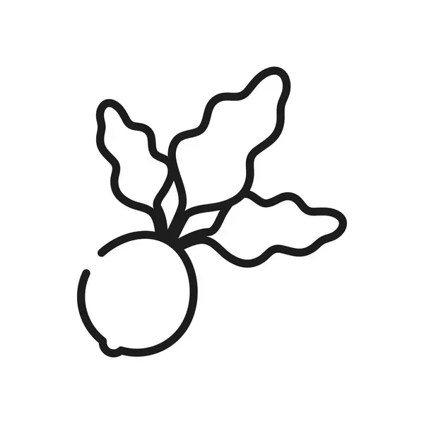 Koncepcja owoców i warzyw, ikona buraków, styl linii — Wektor stockowy