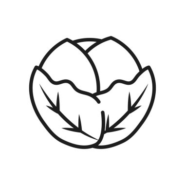 sebze ve meyve konsepti, lahana ikonu, çizgi tarzı