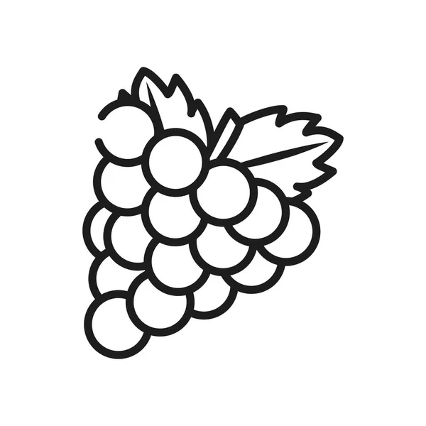 Concepto de verduras y frutas, racimo de uvas icono, estilo de línea — Vector de stock