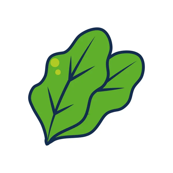 Concept de fruits et légumes, icône de feuilles d'épinards, style ligne et remplissage — Image vectorielle