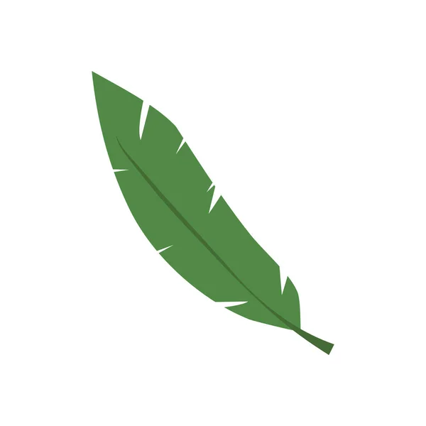 Diseño de vectores de icono de estilo plano de hoja aislada — Vector de stock