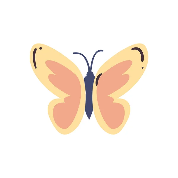 Cute butterfly insect flat style icon vector design — Stockvektor