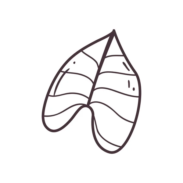 İzole edilmiş yaprak çizgisi biçim vektör tasarımı — Stok Vektör