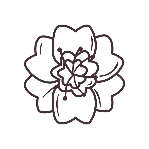 Isolated flower line style icon vector design — ストックベクタ