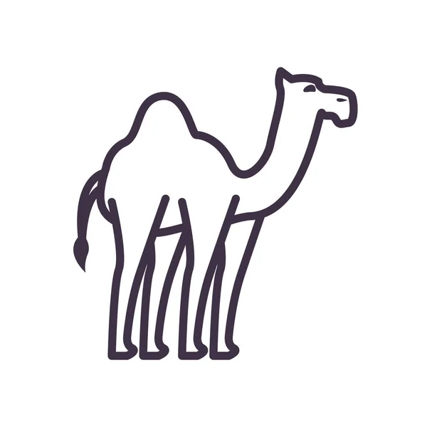 Roztomilý styl ikony velbloudí linie vektor design — Stockový vektor