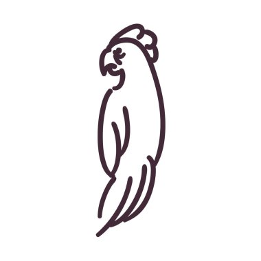 kakadu kuşu çizgi çizgi çizgi çizgi çizimi biçim vektör tasarımı