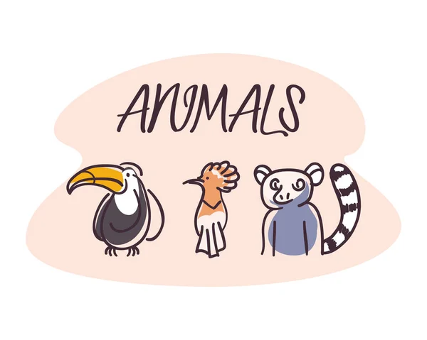 Tukan Vogel und Lemur Cartoons Vektor Design — Stockvektor