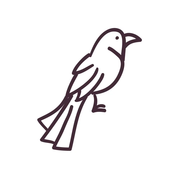 Птах мультфільм лінія стиль піктограма векторний дизайн — стоковий вектор
