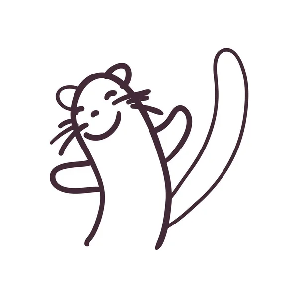 Ferret kit cartoon line style icon vector design — Stock Vector