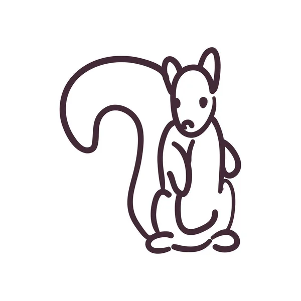 Squirrel cartoon line style icon vector design — Stock Vector