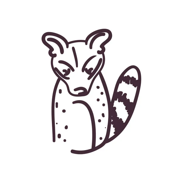 Genet gatto cartone animato linea stile icona vettoriale design — Vettoriale Stock