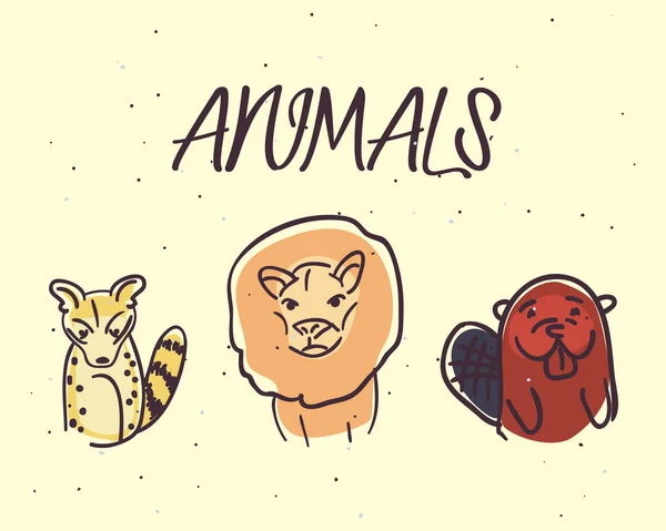 Genet gatto leone e castoro cartoni animati disegno vettoriale — Vettoriale Stock