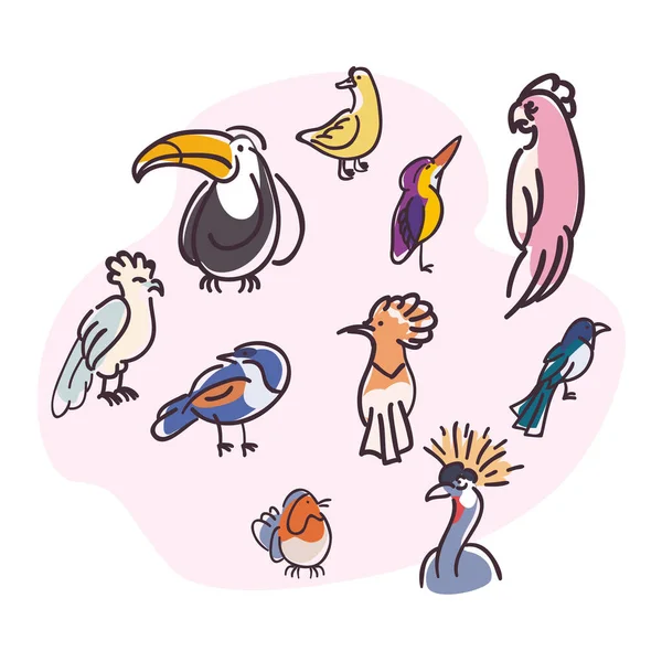 Dibujos animados aves animales vector de diseño — Vector de stock