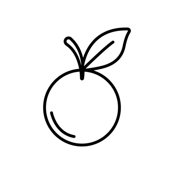 Orangenfrucht-Symbol, Linienstil — Stockvektor