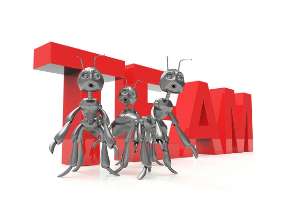 Takım kelime-3-D konsepti