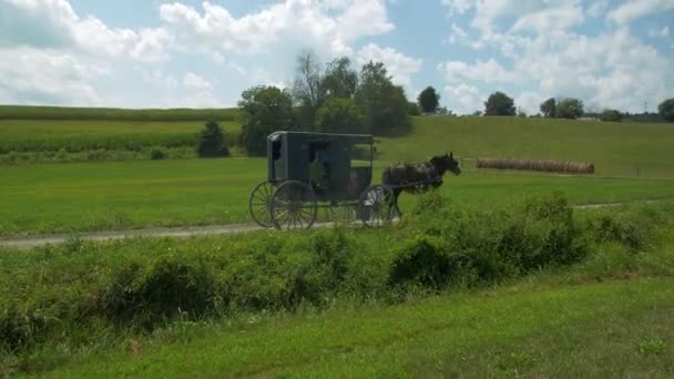 Amish Buggy Het Platteland Weg — Stockvideo