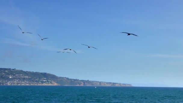 Primer Plano Las Aves Que Vuelan Sobre Montaña Junto Mar — Vídeos de Stock