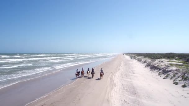 Друзья Ездят Лошадях Через Пляж — стоковое видео