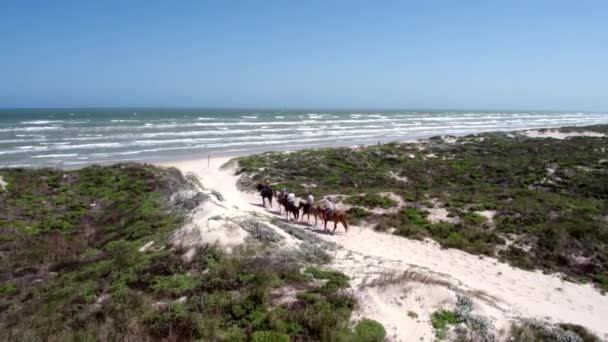 Vänner Rida Hästar Genom Sand Mot Stranden — Stockvideo