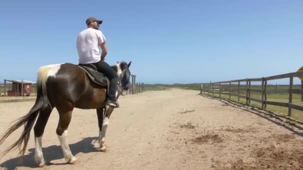 Uomo Immobile Cavallo Texas Ranch — Video Stock