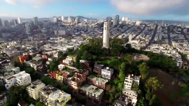 Vista Aérea Torre Coit Paisaje Urbano San Francisco — Vídeo de stock