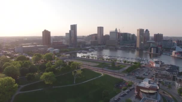 Baltimore Skyline Puerto Interior Drone Disparo — Vídeo de stock