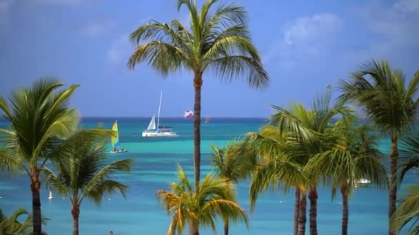 View Tropical Palm Trees Boats Ocean Slow Motion — Stock Video