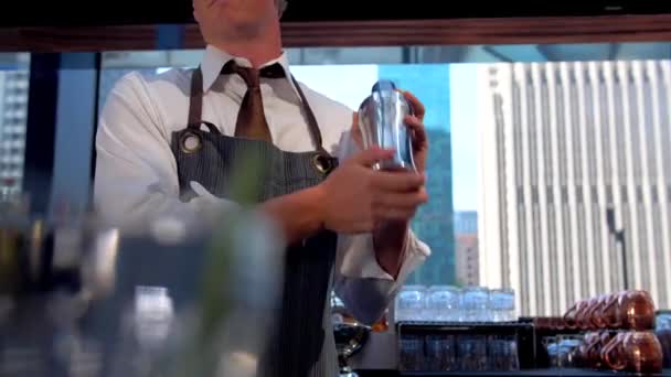 酒保在高档酒吧里摇动鸡尾酒 — 图库视频影像