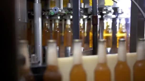 Μπύρα Εμφιάλωση Μηχανή Ζυθοποιίας Μυλωνά Εταιρεία — Αρχείο Βίντεο