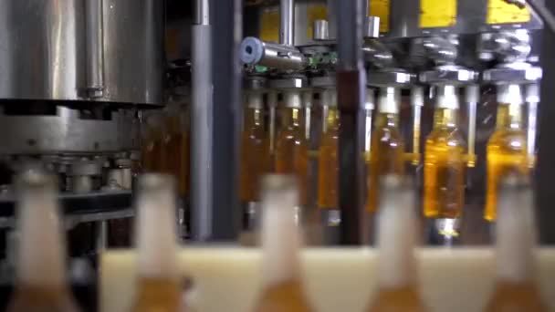 Cerveza Embotellado Máquina Molinero Empresa Cervecera — Vídeos de Stock