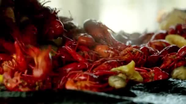 Cooked Crawfish Meal Dumped Table Close — Stock Video
