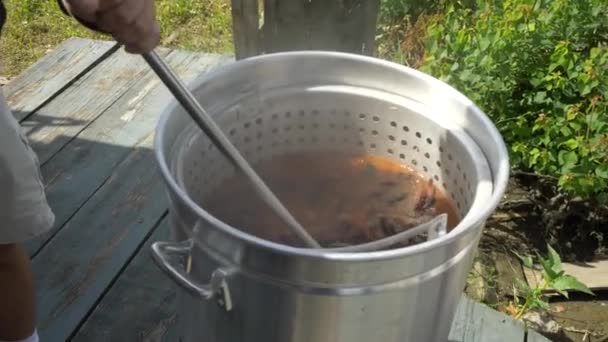 Hombre Agita Cangrejo Olla Hirviendo — Vídeos de Stock