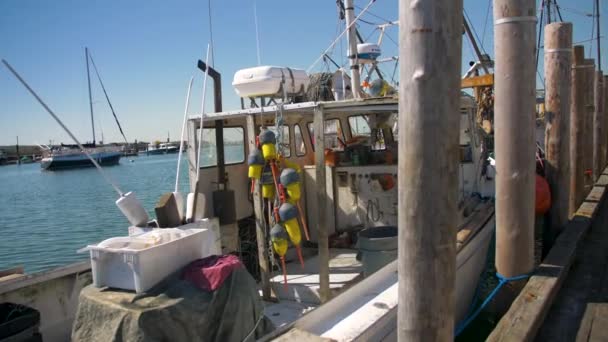 Liten Kommersiell Fiskebåt Dockad Hamnen — Stockvideo