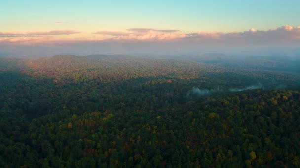Tiro Aéreo Dron Bosque Atardecer Lente Llamarada Árboles Silvestres Vermont — Vídeo de stock