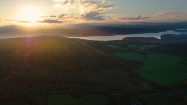 Drone Aerea Colpo Foresta Tramonto Lente Bagliore Alberi Selvatici Nel — Video Stock