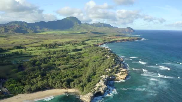 Beautiful Shipwreck Beach Kauai Coast Aerial Drone — Stock Video