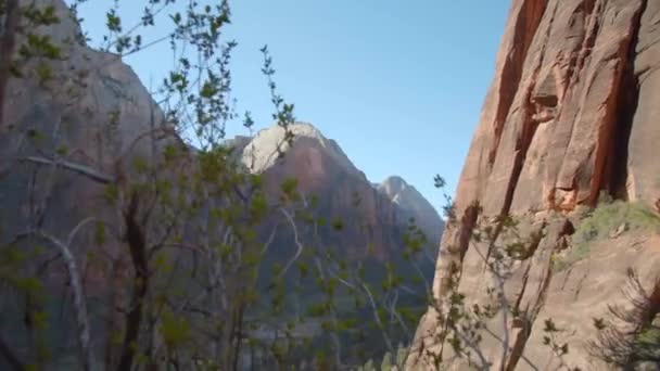 Vakre Zion Nasjonalpark Utah Kløfter Med Håndholdt Kamera – stockvideo