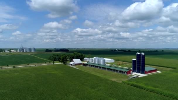 Bezpilotní Snímek Farmářské Krajiny — Stock video