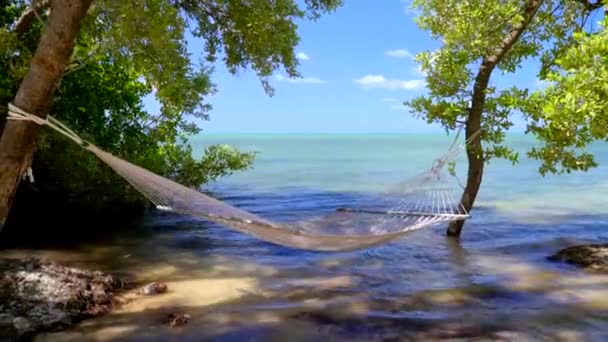 Ontspannen Scene Het Strand Met Uitzicht Tropische Oceaan Tracking Shot — Stockvideo