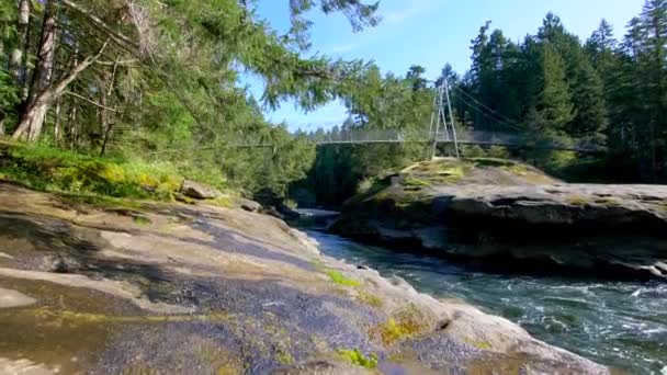 万花筒岛森林跟踪拍摄中的河流与桥梁 — 图库视频影像