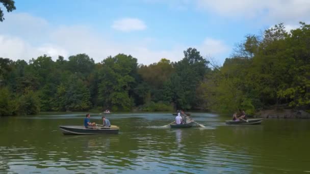 Botes Remos Parque Central Lago Nueva York — Vídeos de Stock