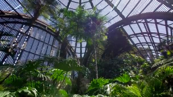 Der Botanische Garten Balboa Park — Stockvideo