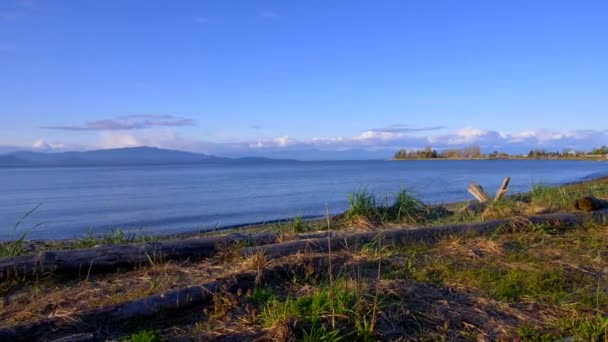 Vancouver Island Flatland Tracking Shot — Stock video