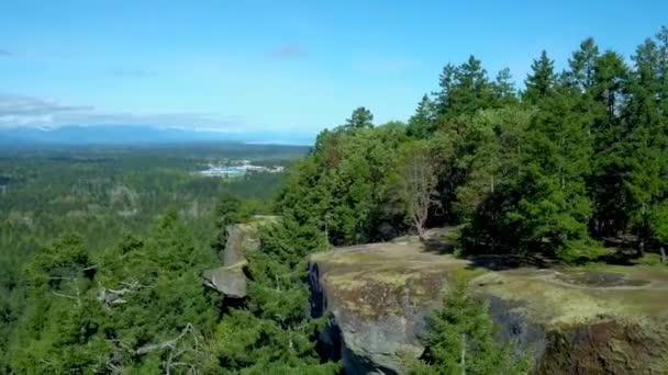 Vancouver Skog Med Antenn Drönare — Stockvideo