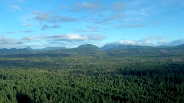 Bosque Isleño Vancouver Por Dron Aéreo — Vídeo de stock