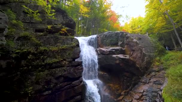 国家森林溪流岩石中的瀑布 — 图库视频影像